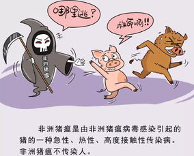 海南啟動(dòng)非洲豬瘟防控應(yīng)急響應(yīng)機(jī)制，保障畜禽市場(chǎng)平穩(wěn)，同步強(qiáng)化水產(chǎn)養(yǎng)殖安全管理